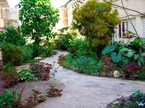 'Building garden' Casas particulares are an alternative to hotels in Cuba.